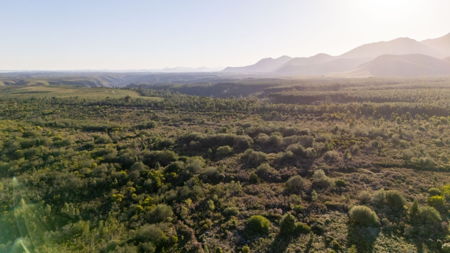  Bedroom Property for Sale in Natures Valley Western Cape
